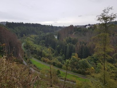 Holiday park Balcony Views in Winterberg - Environment photo 27