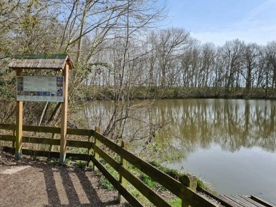 Apartment Appartement, Wyk auf Föhr - Environment photo 15