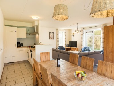 Holiday park Villa in De Banjaard with Sauna - Features photo 5