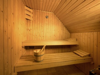 Holiday park Villa in De Banjaard with Sauna - Outdoor photo 36