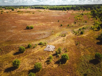 Holiday park Charming Safari Tent by the Lake - Environment photo 26