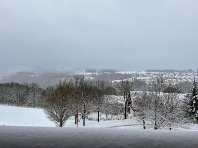 Holiday park Winterberg Stay with Beautiful View - Environment photo 24