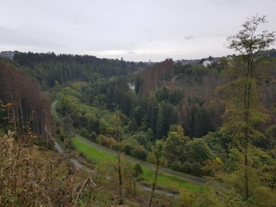 Holiday park Winterberg Stay with Beautiful View - Environment photo 31