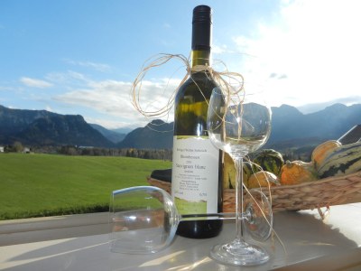 Holiday apartment Mountainview - Environment photo 14