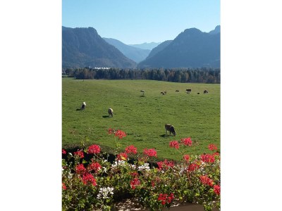 Holiday apartment Mountainview - Environment photo 16