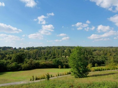 Holiday park Ferienhaus in Roussines mit Privatpool - Environment photo 28