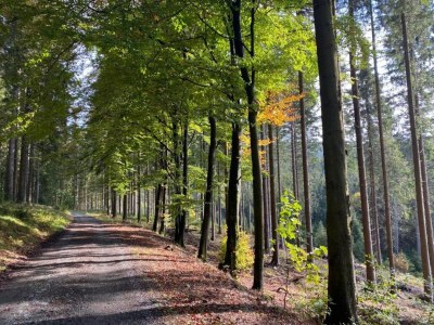 Holiday park Spacious, modern apartment, near center - Environment photo 37