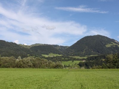 Holiday apartment Birkenhof - Outdoor photo 8