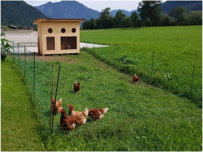 Holiday apartment Birkenhof - Environment photo 21
