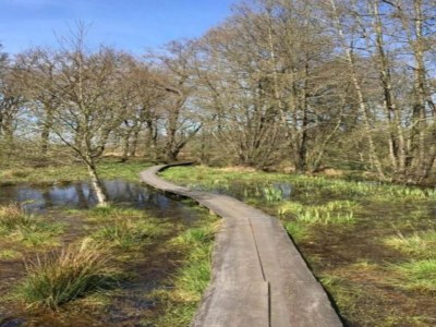 Holiday park Chalet mit Geschirrspüler in der Nähe des - Environment photo 14