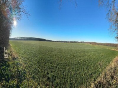 Holiday park Chalet mit Geschirrspüler in der Nähe des - Environment photo 24