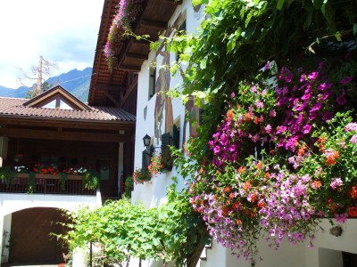 Apartment Sittnerhof Agriturismo - Apartment Carpe Diem - Outdoor photo 10