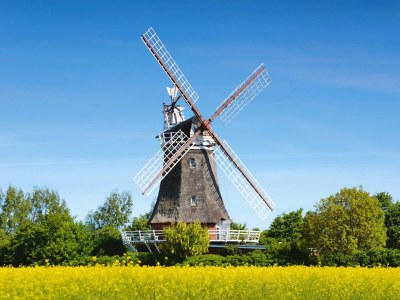 Holiday house Doppelhaus in Oldsum auf Föhr - Environment photo 12
