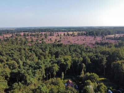 Holiday park Forest Trails & Pool Nearby - Environment photo 19