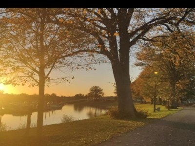 Holiday park Chalet-Refugium in grüner Umgebung - Environment photo 17