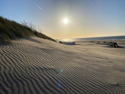 Holiday park Bungalow at Nieuwvliet Bad Beach Resort - Environment photo 11