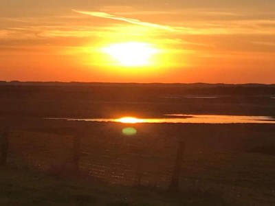 Holiday park Bungalow at Nieuwvliet Bad Beach Resort - Environment photo 12