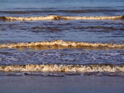 Holiday park Bungalow at Nieuwvliet Bad Beach Resort - Environment photo 20