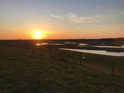 Holiday park Bungalow at Nieuwvliet Bad Beach Resort - Environment photo 27