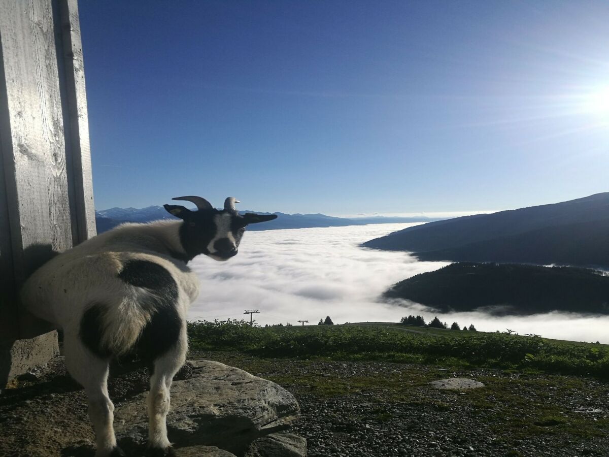 Holiday house Hütte in Brixental am Skilift - Outdoor photo 2