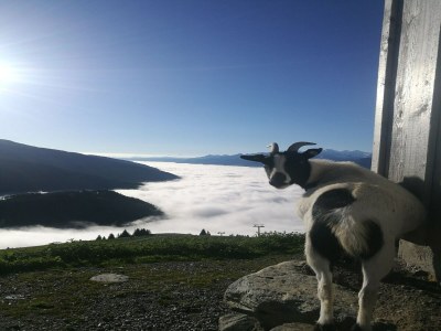 Holiday house Hütte in Brixental am Skilift - Outdoor photo 31