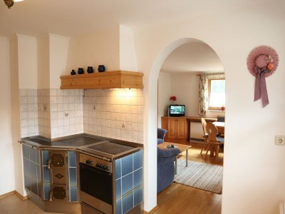 Apartment Wohnung in Wald bei Krimmler Wasserfällen - Features photo 12