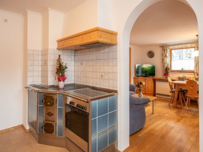 Apartment Wohnung in Wald bei Krimmler Wasserfällen - Features photo 23