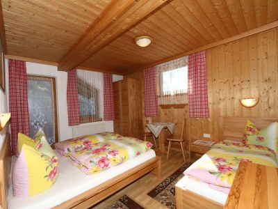 Apartment Chalet in Mayrhofen near Ski Slopes - Features photo 27