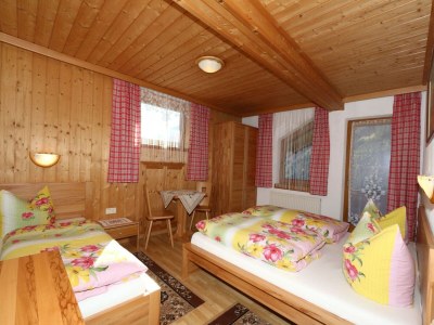 Apartment Chalet in Mayrhofen near Ski Slopes - Features photo 37