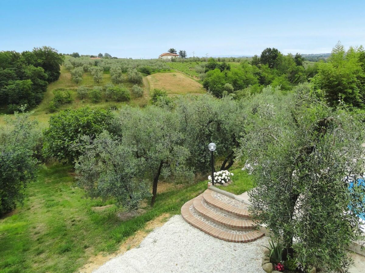 Holiday park Villa in Vinci with Private Pool & Vineyard Views - Outdoor photo 3