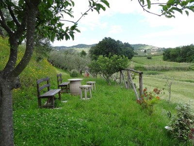Holiday park Villa in Vinci with Private Pool & Vineyard Views - Outdoor photo 10