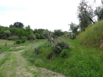 Holiday park Villa in Vinci with Private Pool & Vineyard Views - Outdoor photo 16