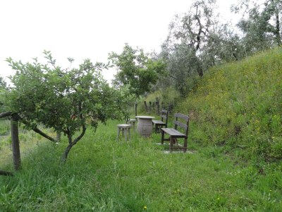 Holiday park Villa in Vinci with Private Pool & Vineyard Views - Outdoor photo 17