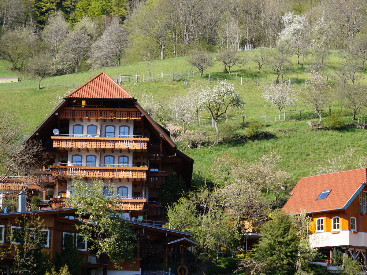 Holiday apartment At the Ehrenmättlehof - Outdoor photo 3