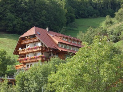 Holiday apartment At the Ehrenmättlehof - Outdoor photo 6