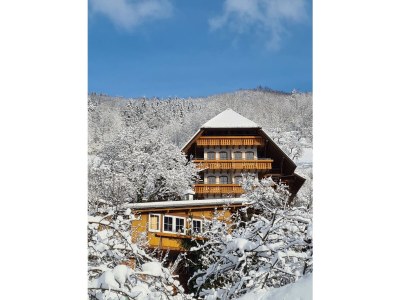 Holiday apartment At the Ehrenmättlehof - Outdoor photo 7