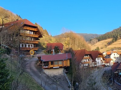 Holiday apartment At the Ehrenmättlehof - Outdoor photo 9