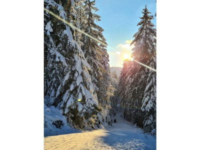 Holiday apartment At the Ehrenmättlehof - Outdoor photo 11