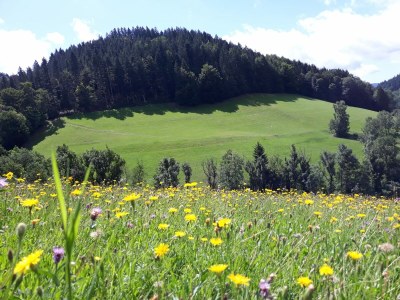 Holiday apartment At the Ehrenmättlehof - Outdoor photo 12