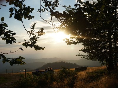 Holiday apartment At the Ehrenmättlehof - Environment photo 38
