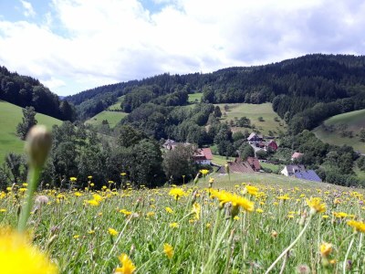 Holiday apartment At the Ehrenmättlehof - Environment photo 39
