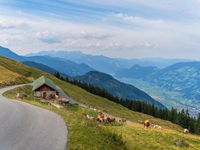 Apartment Apartment in Fügen near Spieljochbahn - Environment photo 31