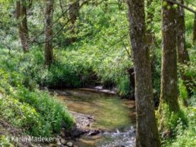 Holiday park Family Holiday Home in Bavaria - Environment photo 14