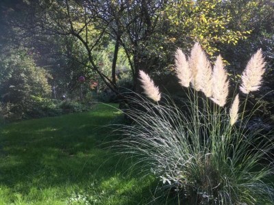 Holiday park Family Holiday Home in Bavaria - Environment photo 15