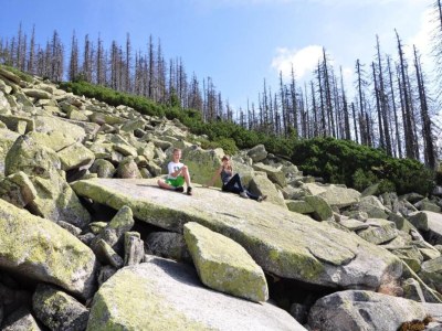 Holiday park Family Holiday Home in Bavaria - Environment photo 16