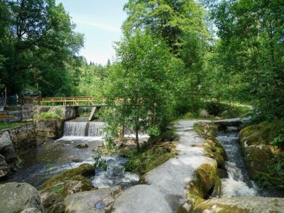 Holiday park Family Holiday Home in Bavaria - Environment photo 26