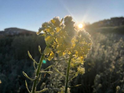 Holiday park Family Holiday Home in Bavaria - Environment photo 31