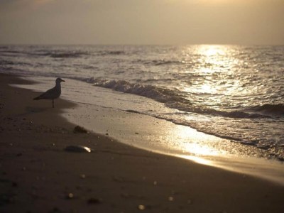 Apartment Familienfreundliches Haus mit Garten - Environment photo 27