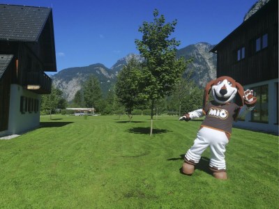 Holiday park Chalet in Obertraun by Hallstättersee - Outdoor photo 30
