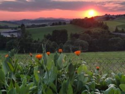 Holiday park Familienunterkunft in Waldkirchen im Ferienpark - Environment photo 11